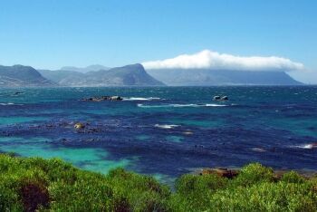 Sentinal at Hout Bay, Cape Town, Western Cape