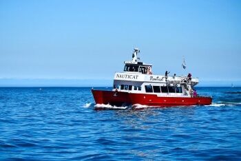 Sea excursion at Hout Bay, Cape Town, Western Cape